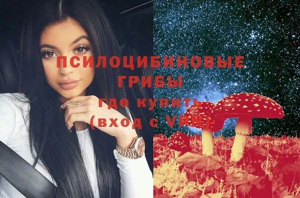 индика Балахна