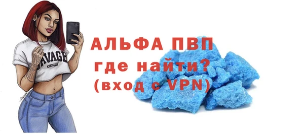 индика Балахна