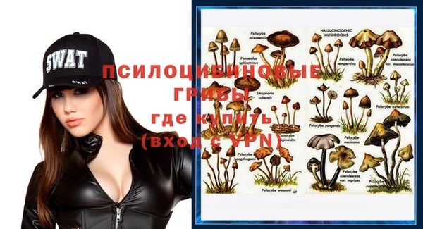 индика Балахна