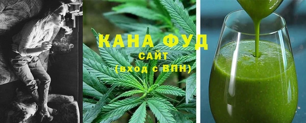 индика Балахна