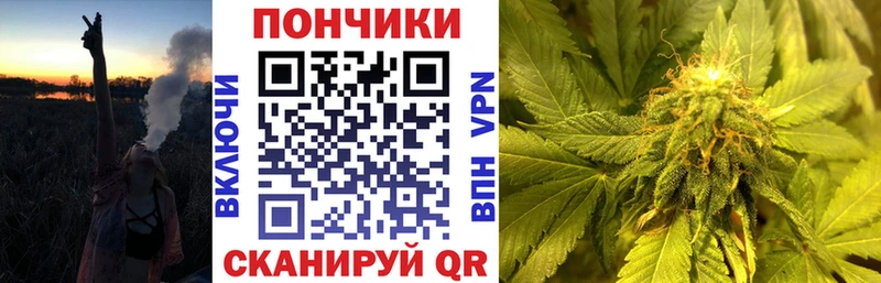 kraken   Свирск  Бошки Шишки план 